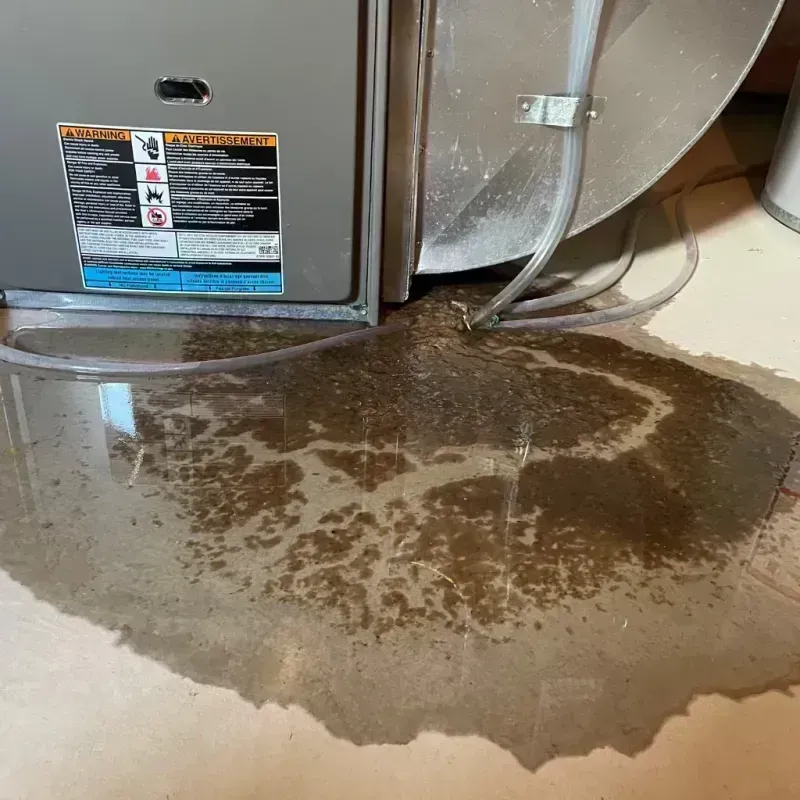 Appliance Leak Cleanup in Dallas County, AR